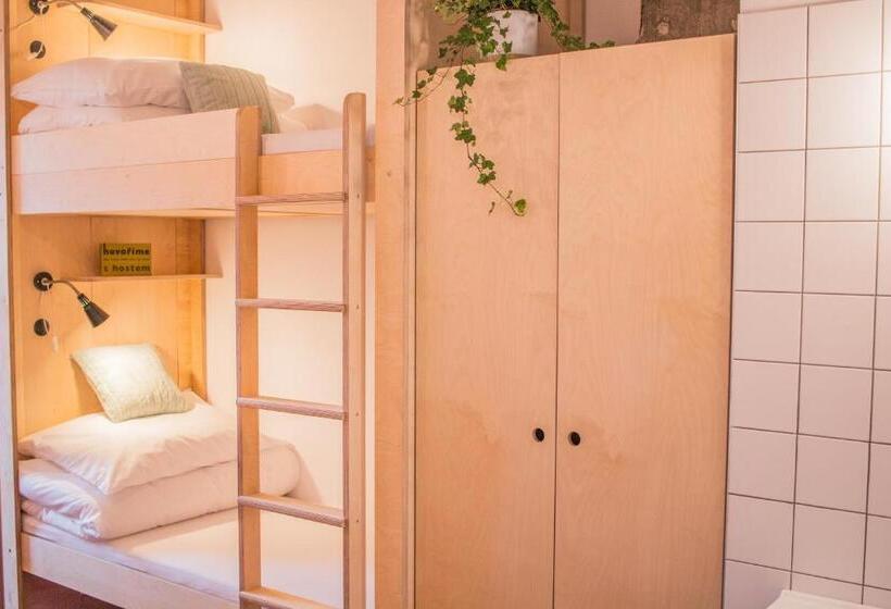 Albergue Cmyk ústí Nad Labem