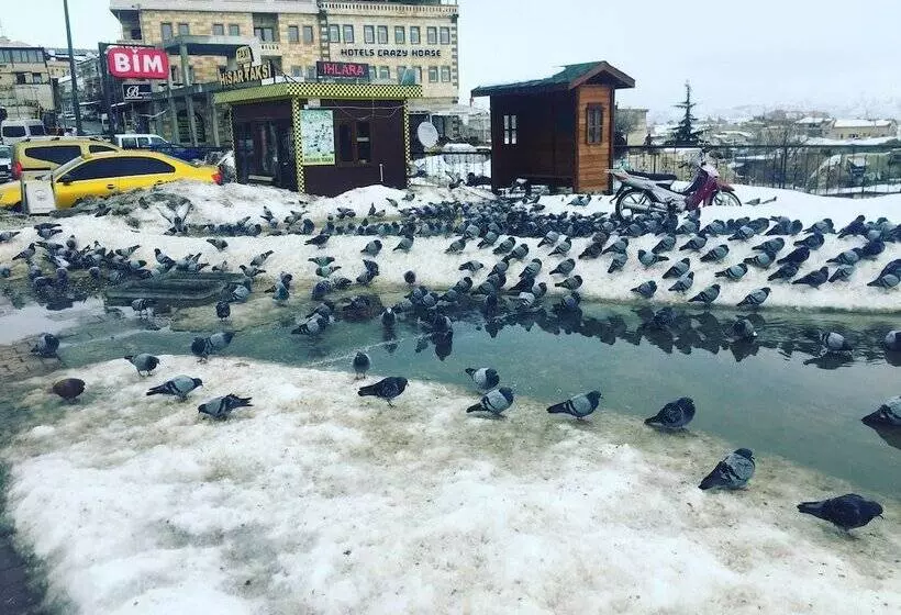 ユースホステル S Crazy Horse