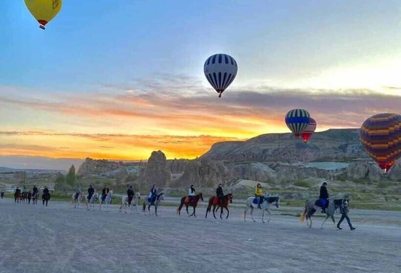 فندق صغير S Crazy Horse