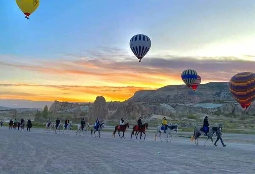 ユースホステル S Crazy Horse