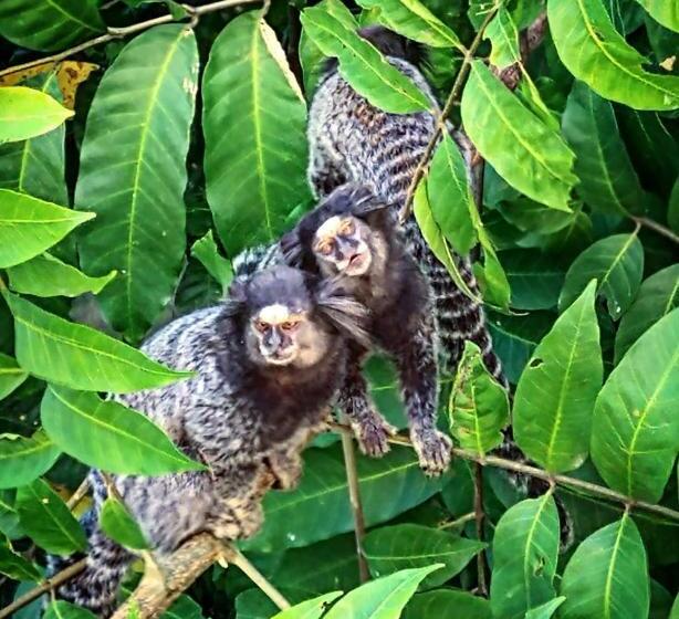 پانسیون Pousada Costão Do Sol