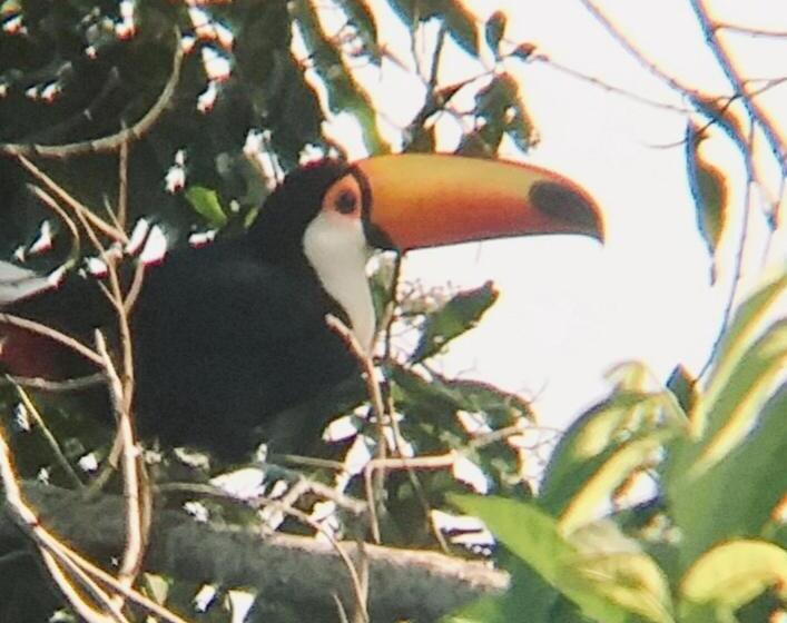 پانسیون Pousada Costão Do Sol