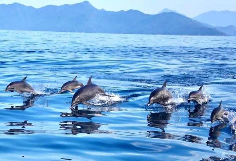 پانسیون Pousada Costão Do Sol