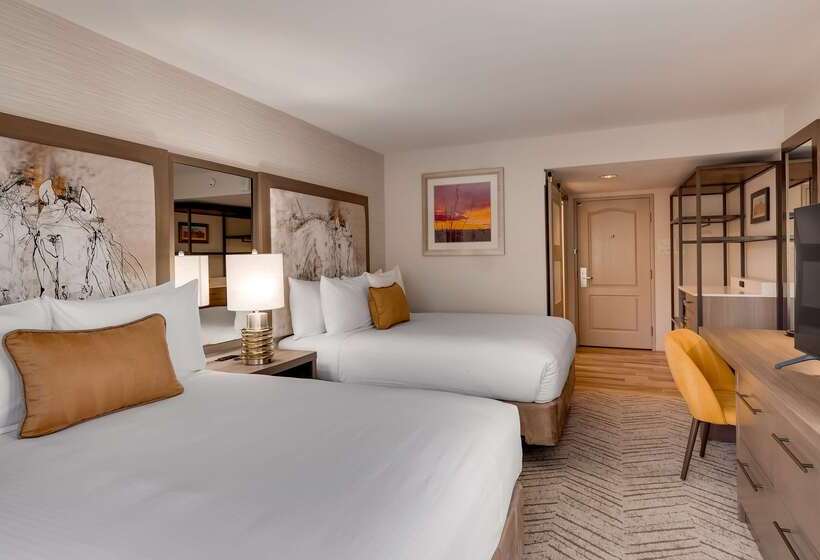 酒店 Aiden By Best Western Scottsdale North