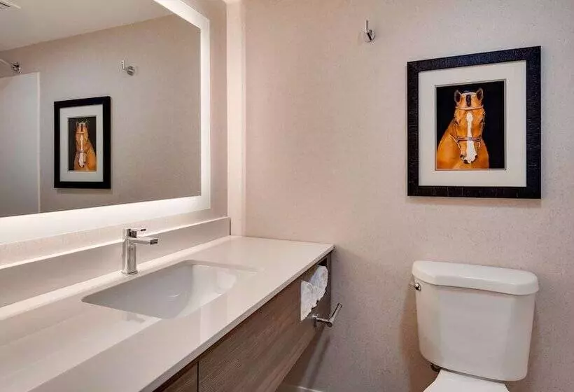 هتل Aiden By Best Western Scottsdale North