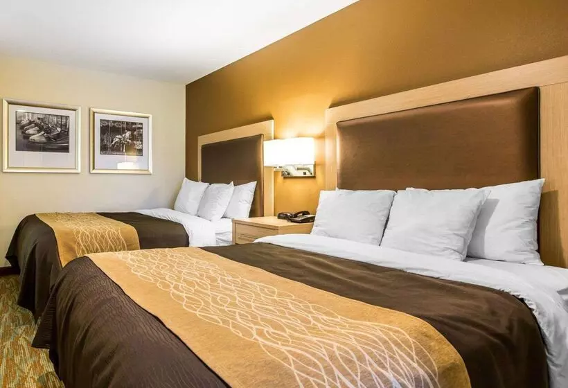 בית מלון כפרי Comfort Inn Boardwalk