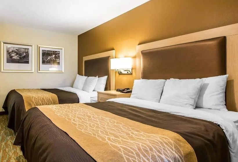 בית מלון כפרי Comfort Inn Boardwalk