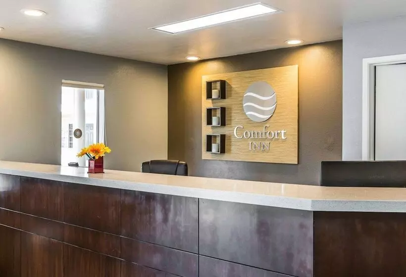 בית מלון כפרי Comfort Inn Boardwalk