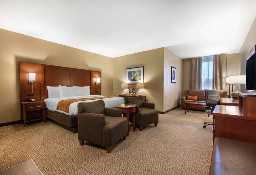 فندق Comfort Inn Memphis Downtown