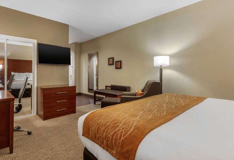 فندق Comfort Inn Memphis Downtown
