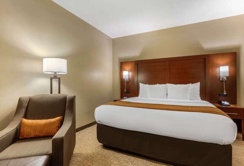 فندق Comfort Inn Memphis Downtown