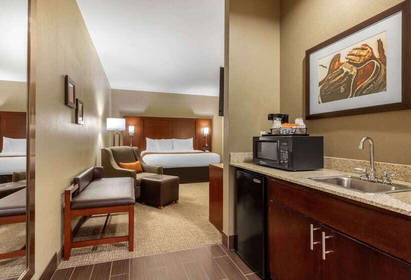 فندق Comfort Inn Memphis Downtown