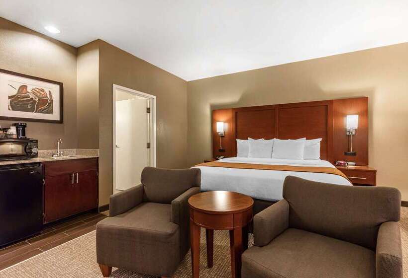 فندق Comfort Inn Memphis Downtown