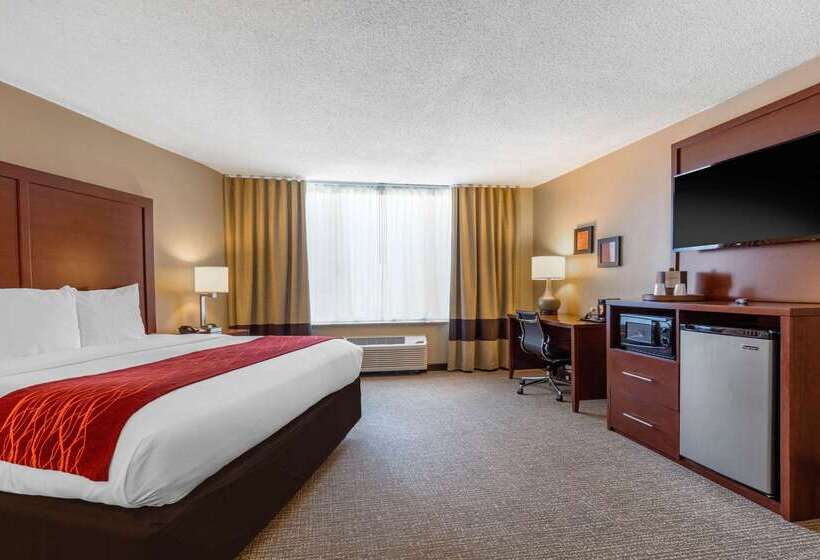 فندق Comfort Inn Memphis Downtown