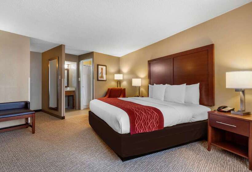 فندق Comfort Inn Memphis Downtown