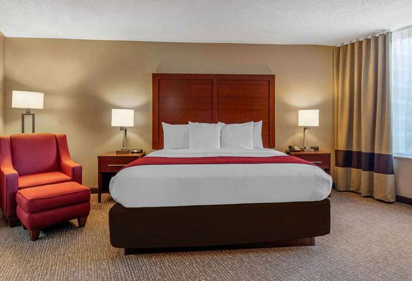 فندق Comfort Inn Memphis Downtown