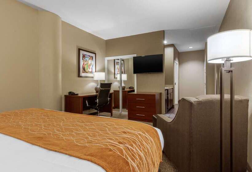 فندق Comfort Inn Memphis Downtown