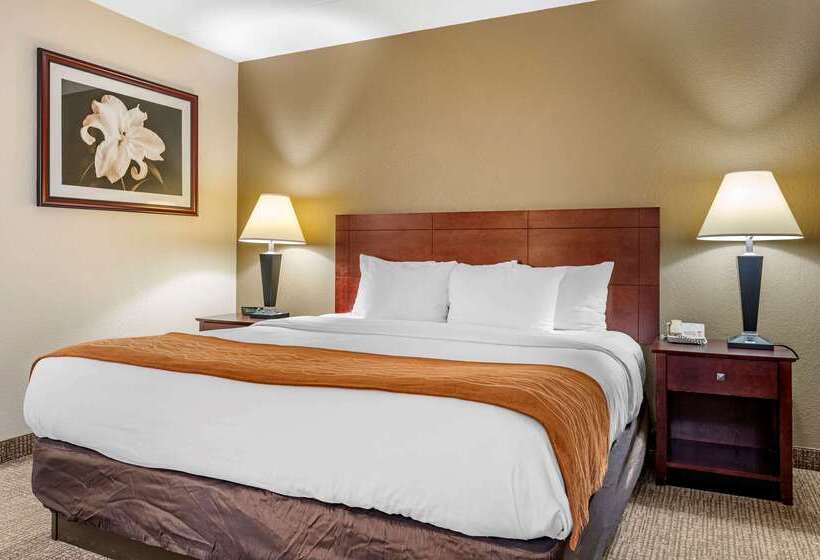 فندق Comfort Inn Northeast