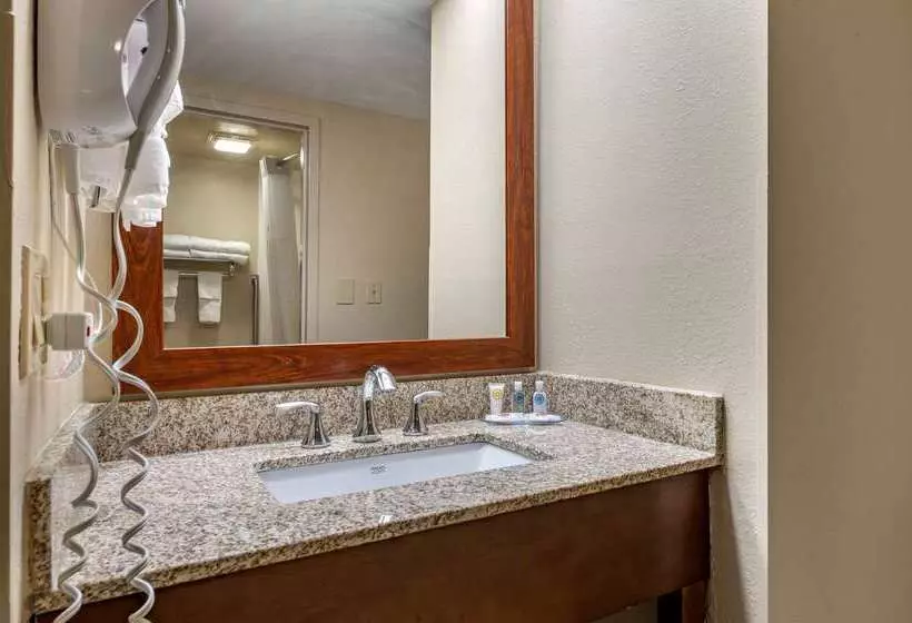 호텔 Comfort Inn Northeast