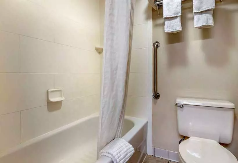 호텔 Comfort Inn Northeast