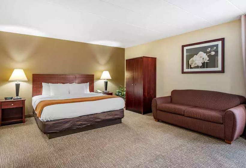 호텔 Comfort Inn Northeast