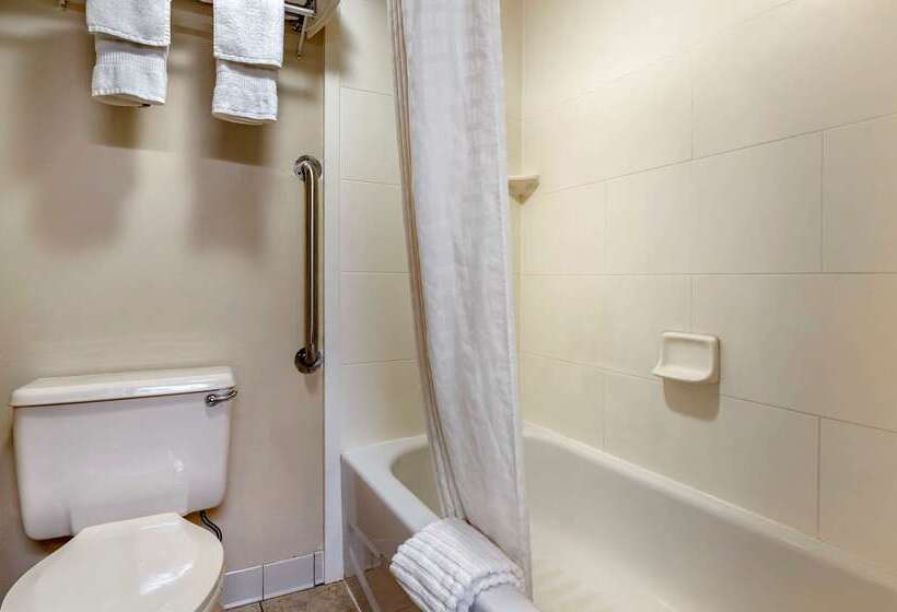 فندق Comfort Inn Northeast