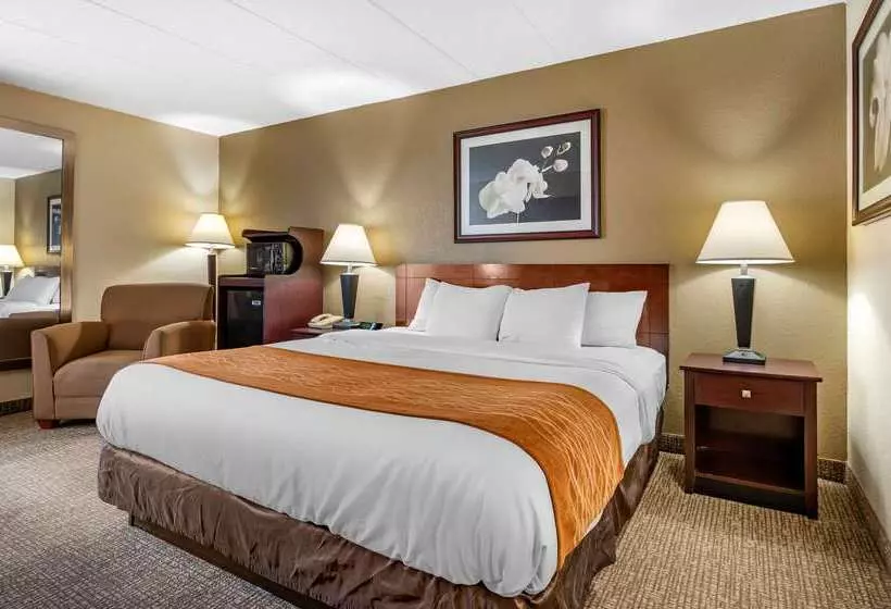 호텔 Comfort Inn Northeast