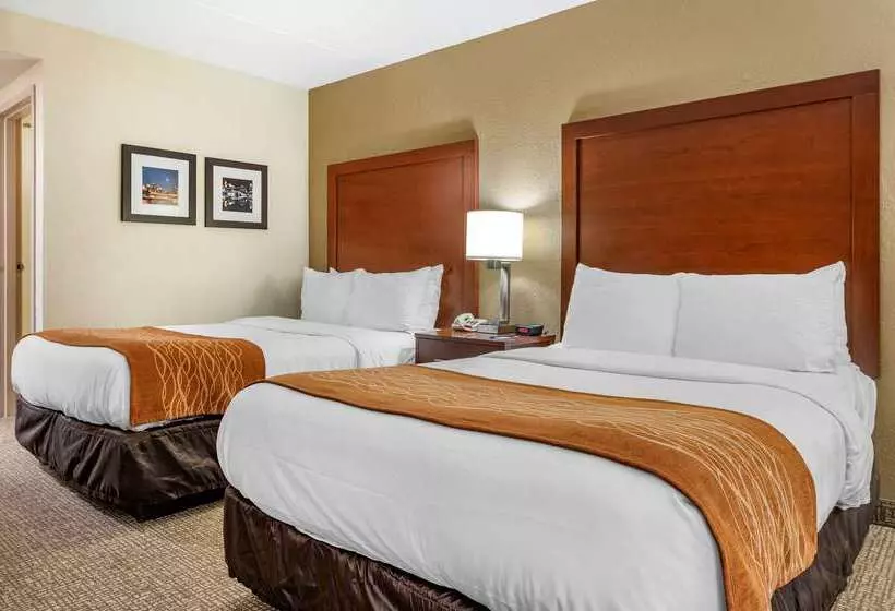 호텔 Comfort Inn Northeast