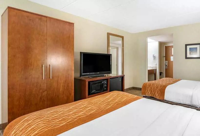 호텔 Comfort Inn Northeast