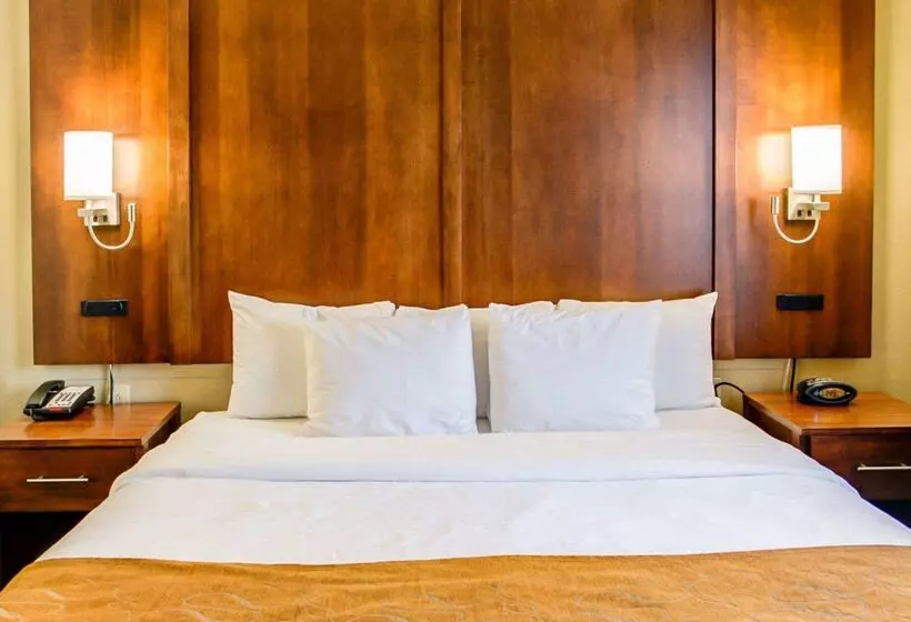 호텔 Comfort Suites Georgetown