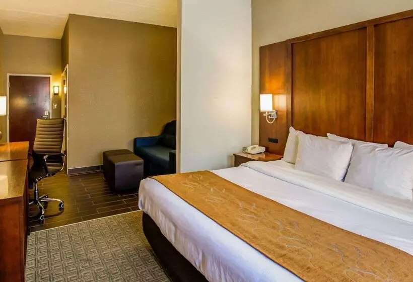 호텔 Comfort Suites Georgetown