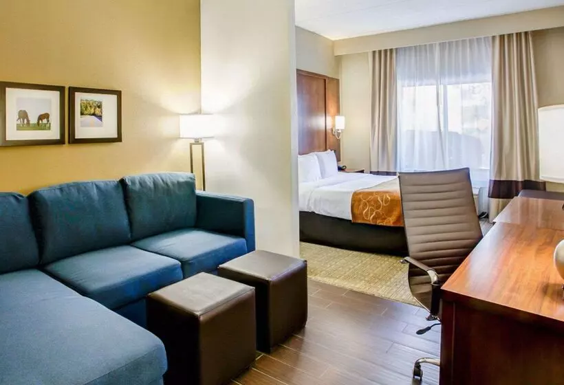 호텔 Comfort Suites Georgetown