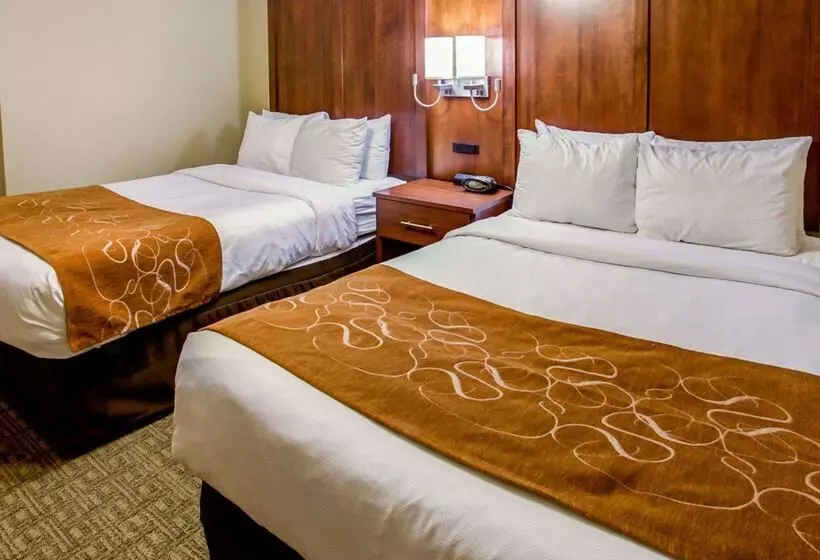 호텔 Comfort Suites Georgetown