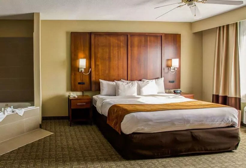 호텔 Comfort Suites Georgetown