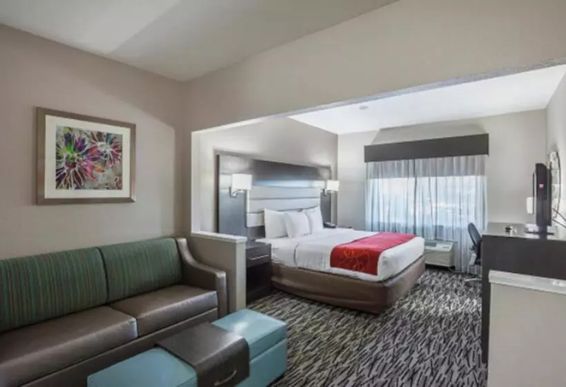 酒店 Comfort Suites Lewisville