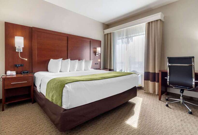 호텔 Comfort Suites Omaha Eastcouncil Bluffs