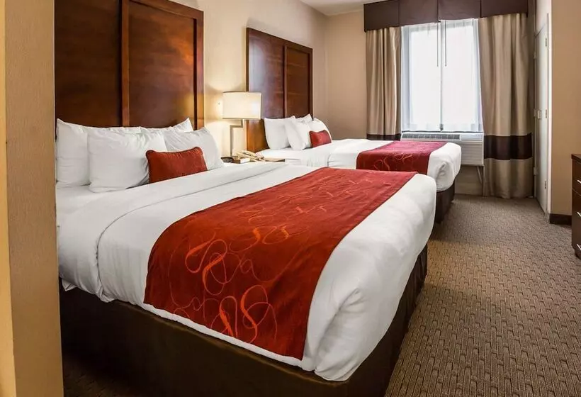 Otel Comfort Suites Stafford Near Sugarland