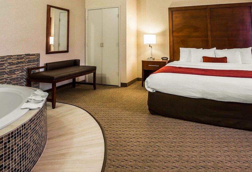 ホテル Comfort Suites Stafford Near Sugarland