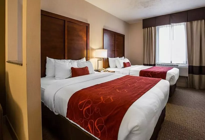 ホテル Comfort Suites Stafford Near Sugarland