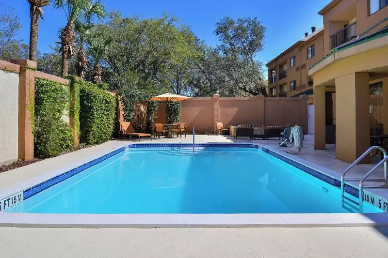 ホテル Courtyard Tampa North/i75 Fletcher