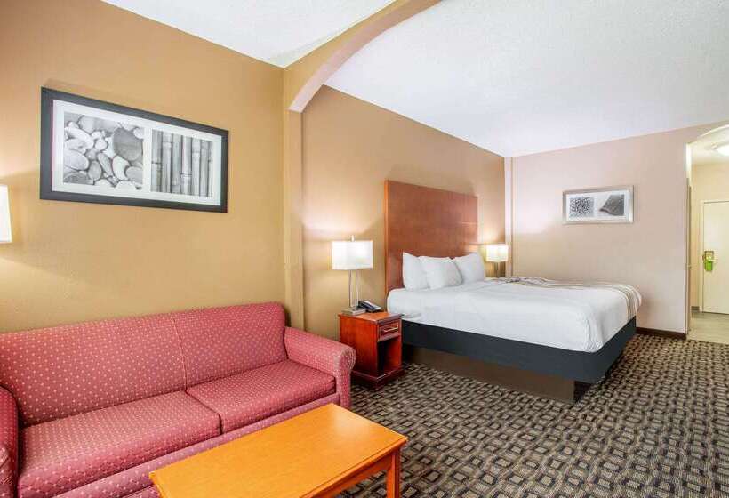 فندق La Quinta Inn By Wyndham Decatur Alabama