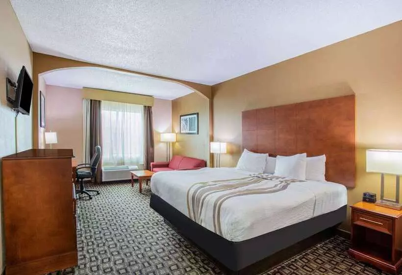 ホテル La Quinta Inn By Wyndham Decatur Alabama