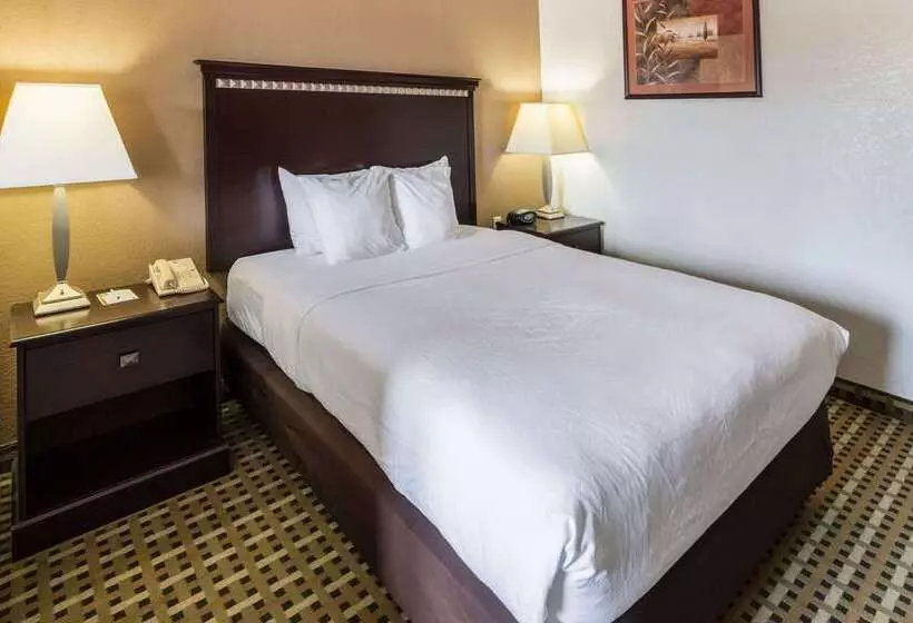 호텔 Quality Suites Burleson   Ft Worth