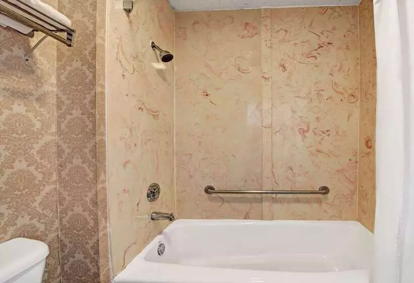 Hotelli Super 8 By Wyndham Dallas South