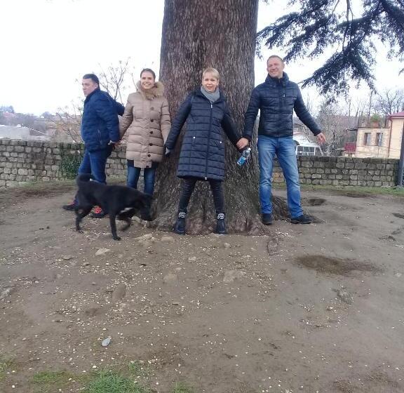 هاستل Guesthouse Gegi