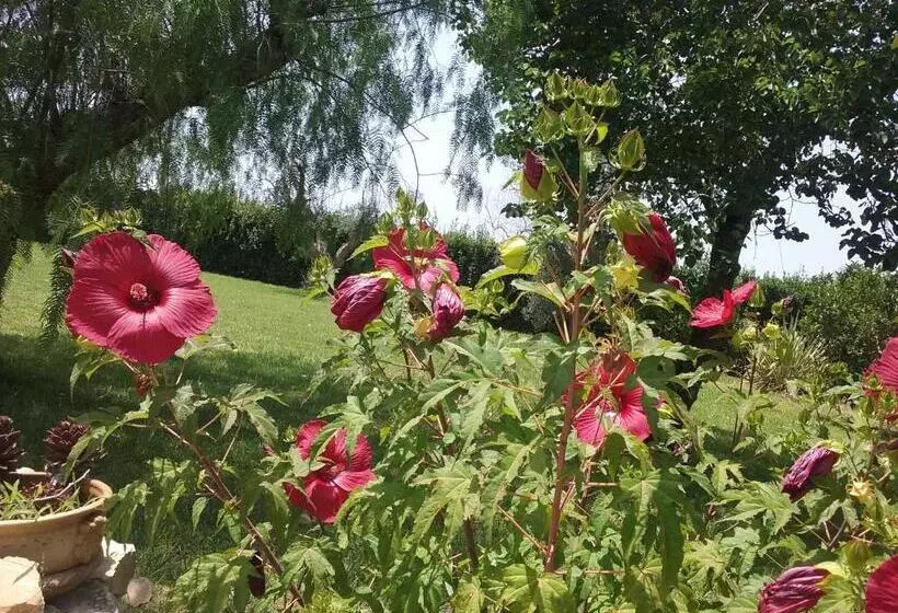 ベッドアンドブレックファースト Villa Minerva Family Relais