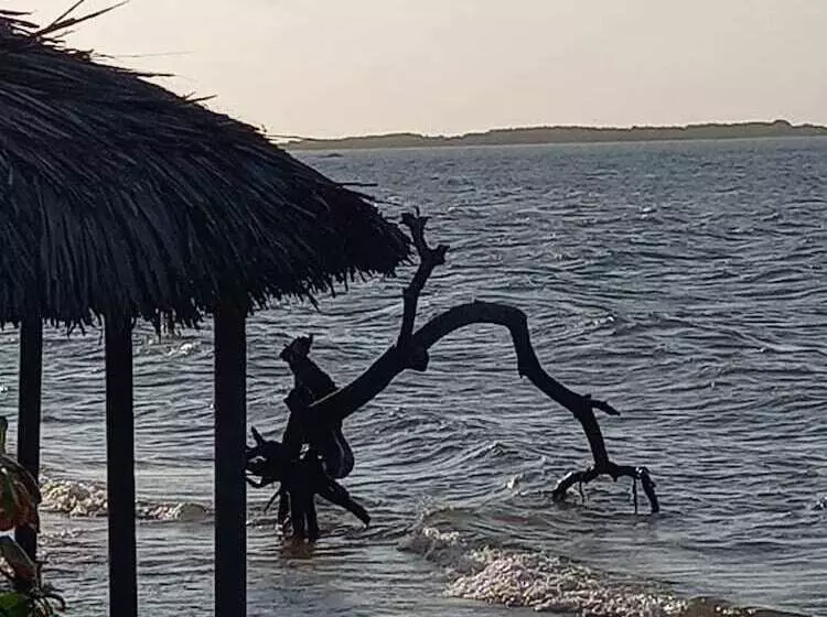 ペンション Orla Atins