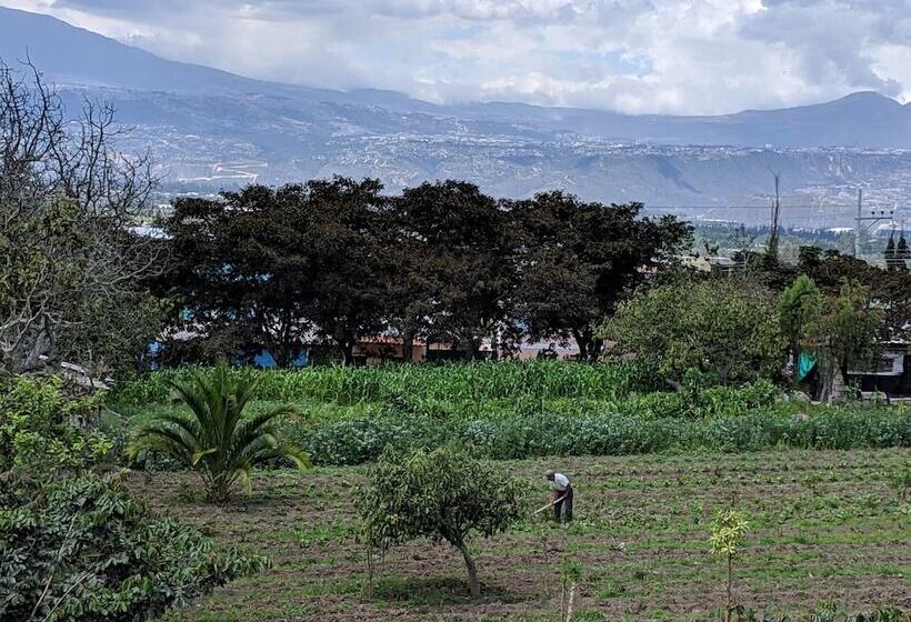 Hostel Venus De Valdivia Aeropuerto