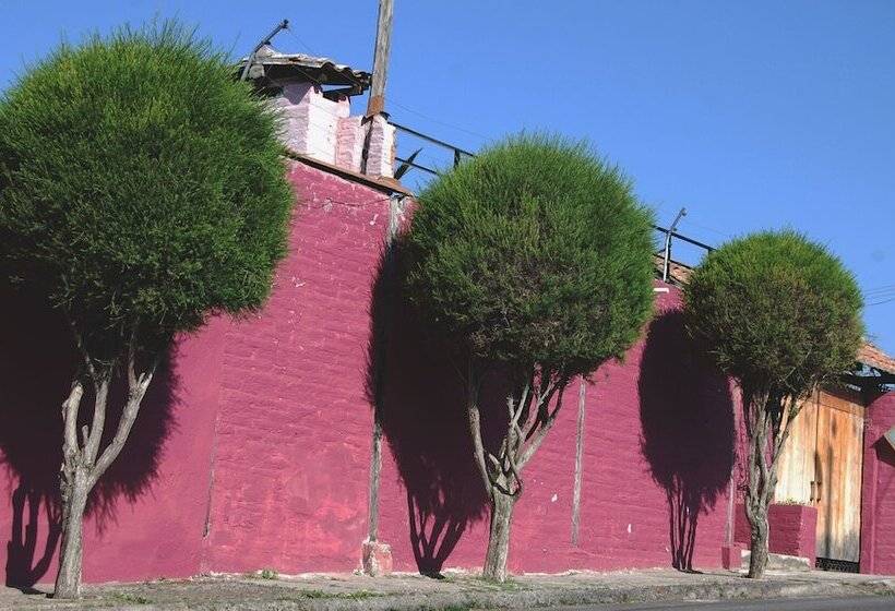 Hostel Venus De Valdivia Aeropuerto