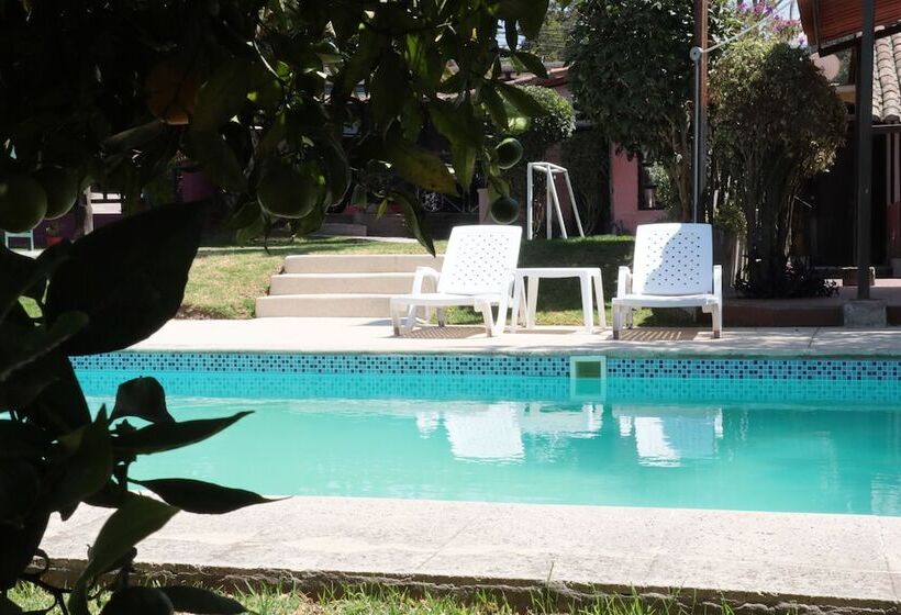 Hostel Venus De Valdivia Aeropuerto